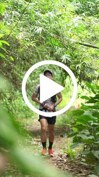 BIB:  <button type="button" onclick="openModal(26821872)" class="btn btn-primary btn-sm float-right" data-toggle="modal" data-target=".modal-high-quality">
                <i class="fa fa-download"></i> Download
                </button>